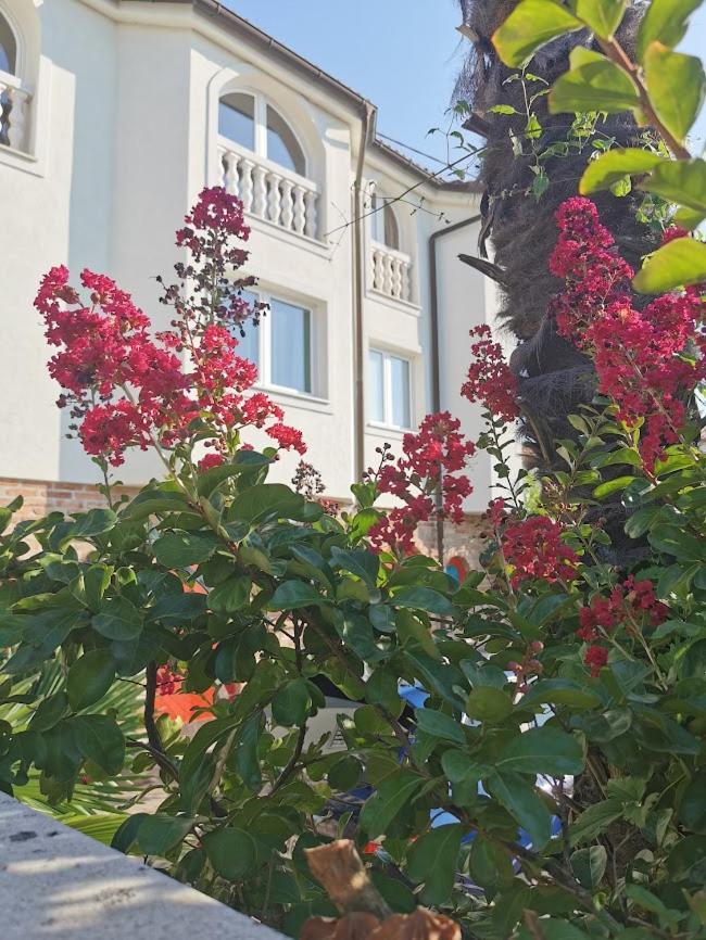 Casa Oasa -accommodation, Pizzeria & Bar 3*